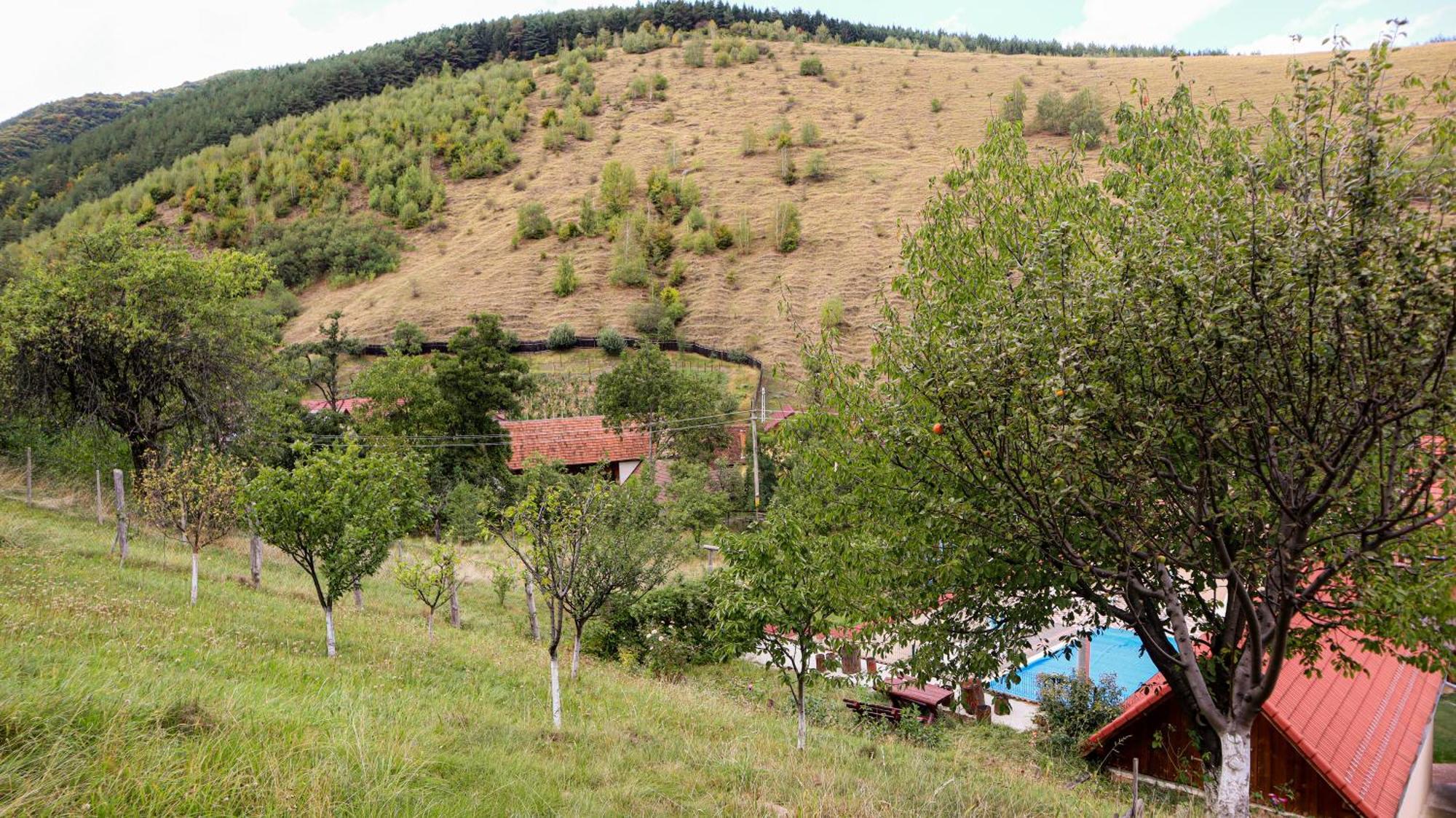 Marginimea Sibiului - Pensiunea Darian & David Orlat Exterior foto