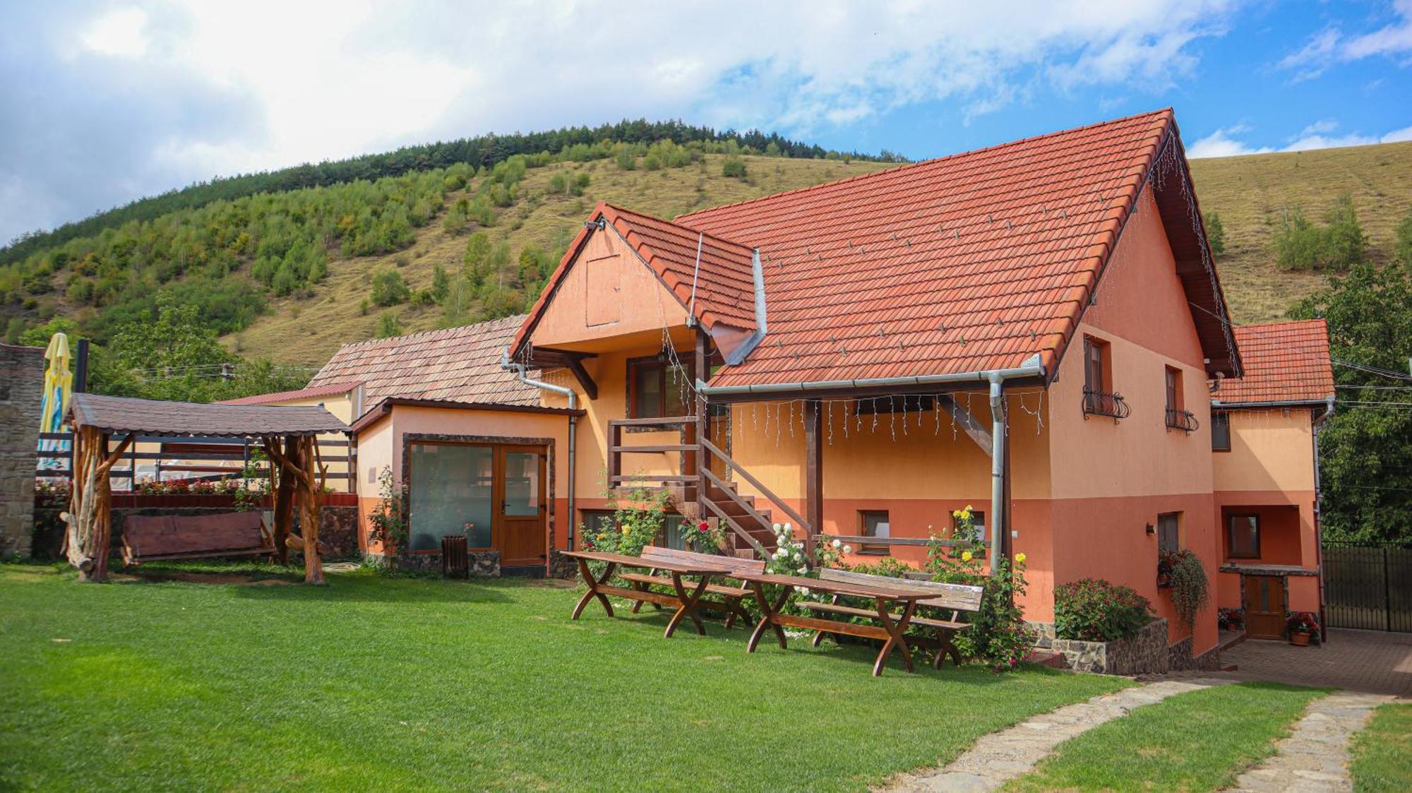 Marginimea Sibiului - Pensiunea Darian & David Orlat Exterior foto
